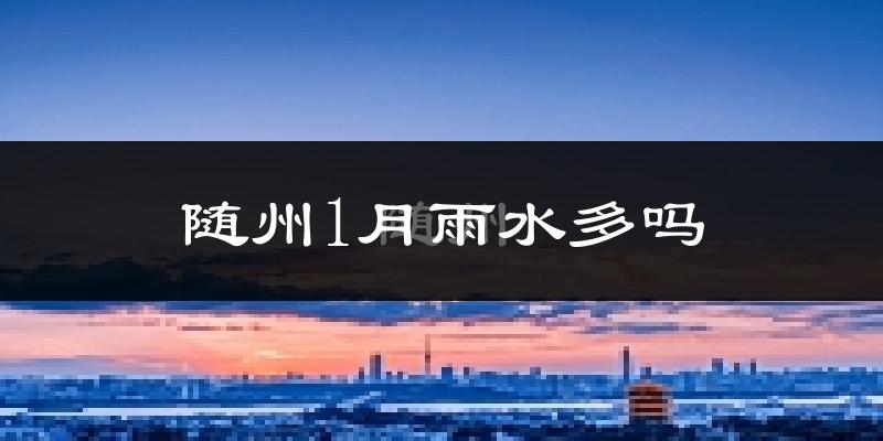随州1月雨水多吗?