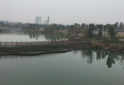 沙洋今日天气
