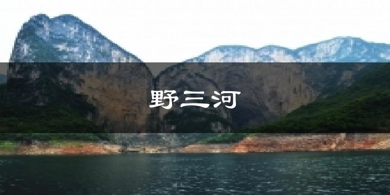 野三河天气预报十五天