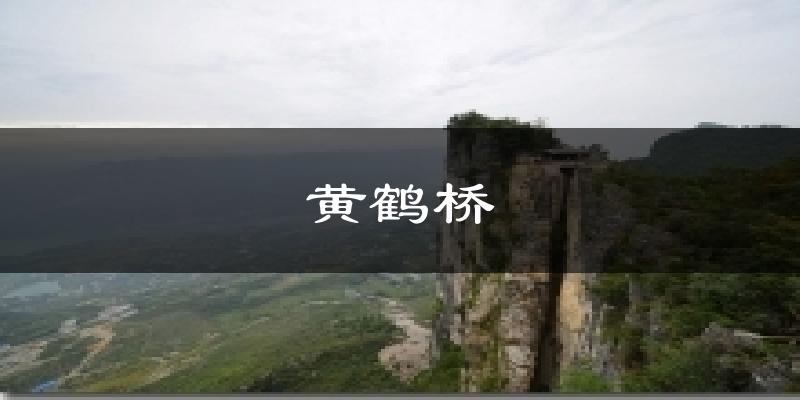 黄鹤桥天气预报十五天