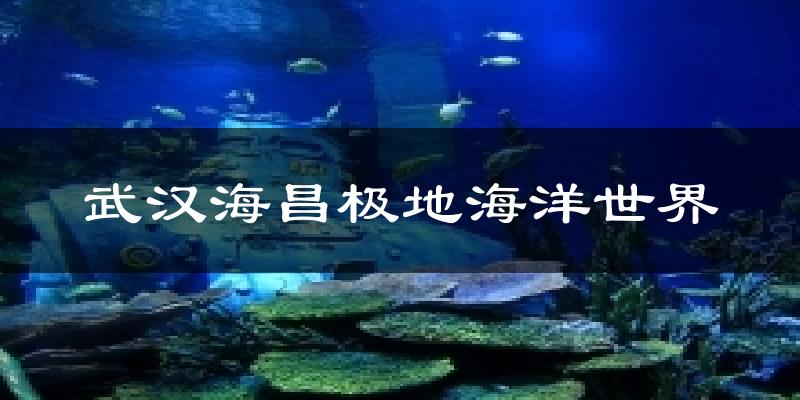 武汉海昌极地海洋世界天气预报十五天
