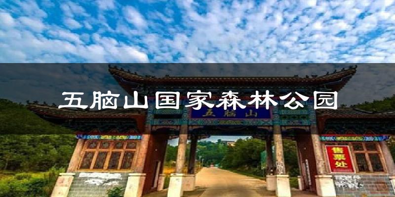 五脑山国家森林公园天气预报十五天