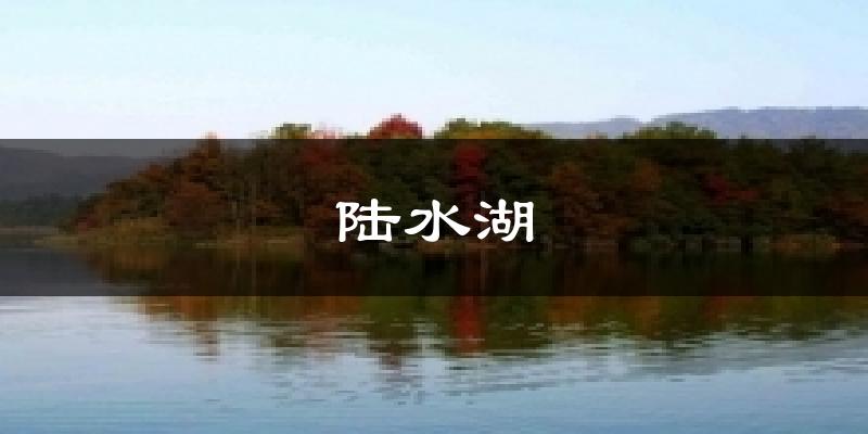 陆水湖天气预报十五天