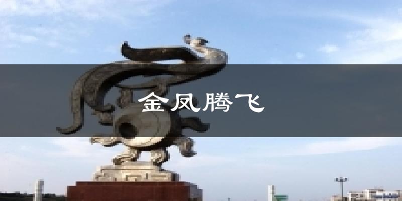 金凤腾飞天气预报十五天