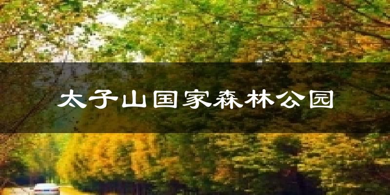 太子山国家森林公园天气预报十五天