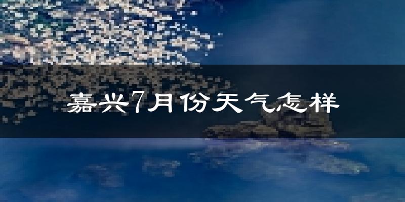 嘉兴市7月份天气如何?很热吗?