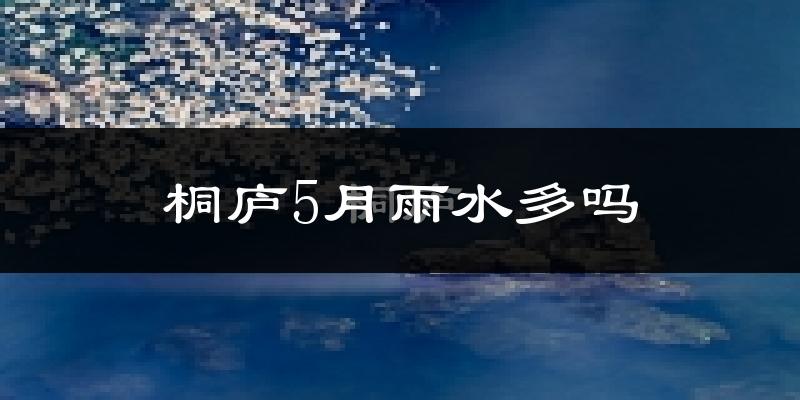 桐庐5月雨水多吗?