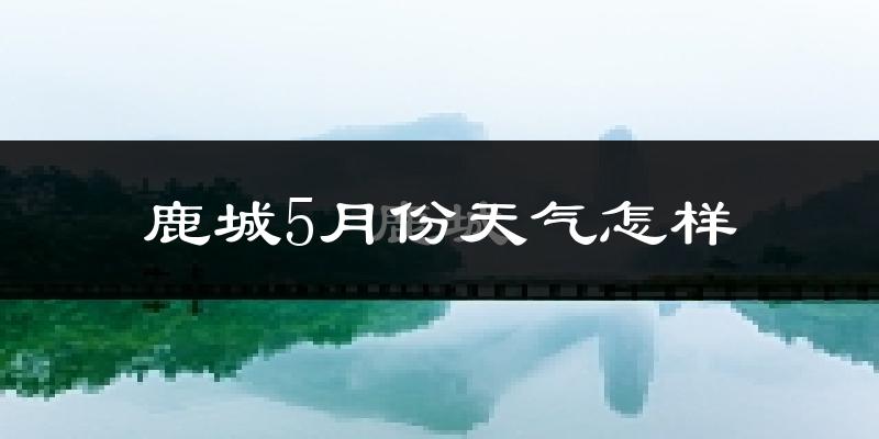 鹿城5月份天气怎样?鹿城五月冷吗?