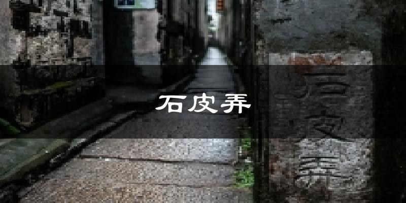 石皮弄天气预报十五天