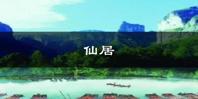 仙居天气预报十五天