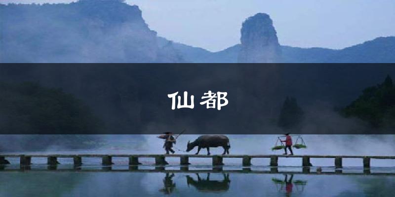 仙都天气预报十五天