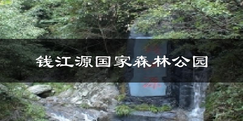 钱江源国家森林公园天气预报十五天