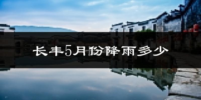 长丰5月份降雨多少?