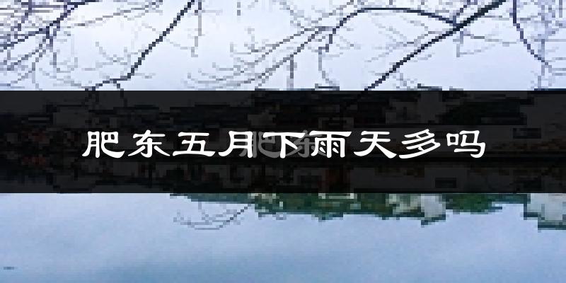 肥东五月下雨天多吗?肥东5月份降雨量多少?
