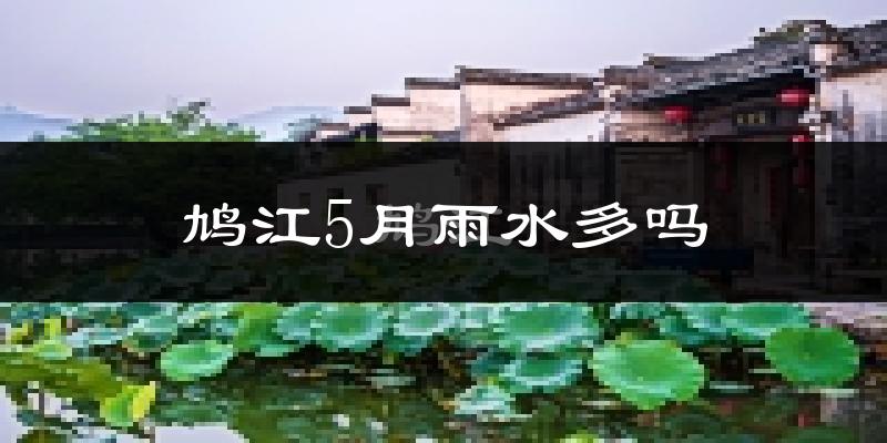 鸠江5月雨水多吗?