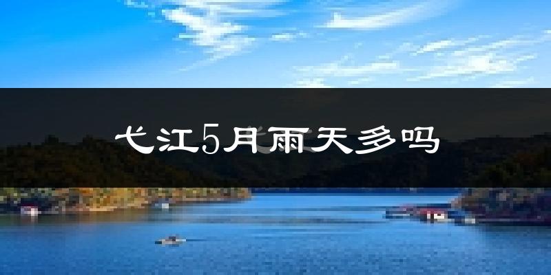 弋江5月雨天多吗?