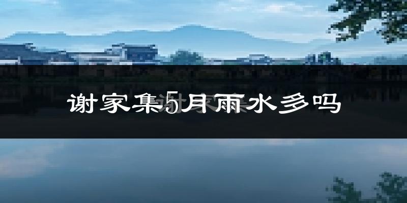 谢家集5月雨水多吗?