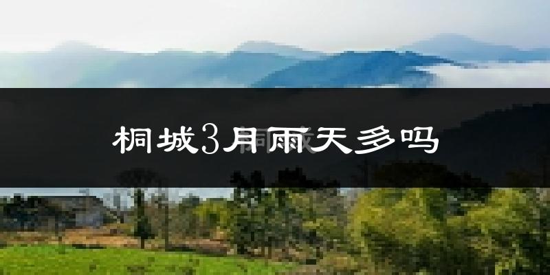 桐城3月雨天多吗?