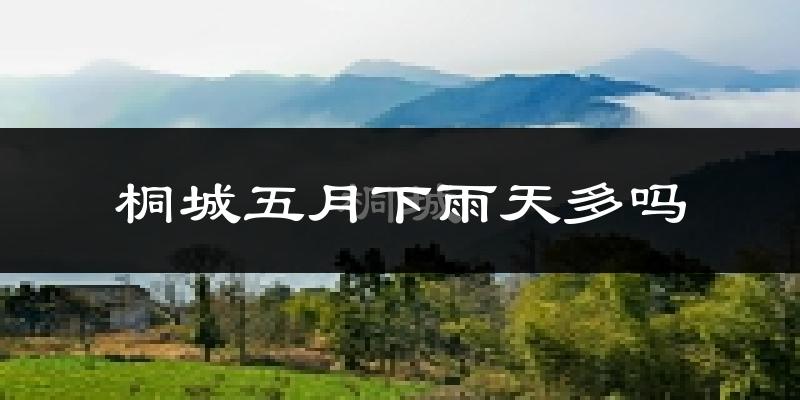 桐城五月下雨天多吗?桐城5月份降雨量多少?