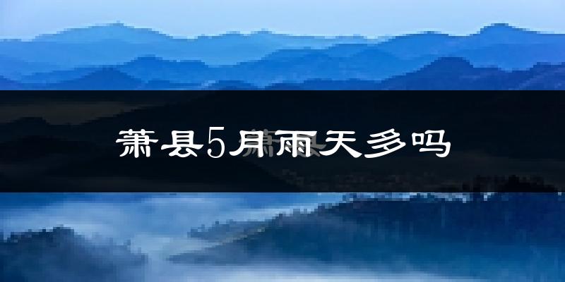 萧县5月雨天多吗?