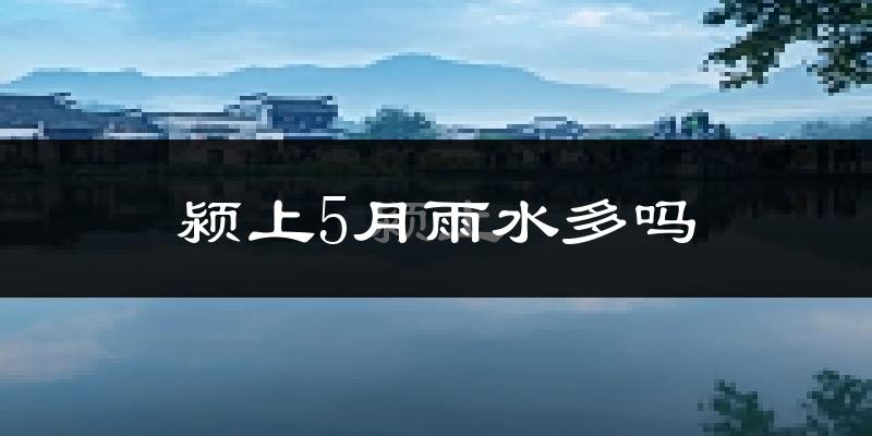 颍上5月雨水多吗?