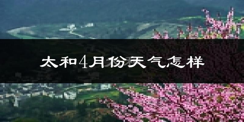 太和县4月份天气如何?冷热情况怎么样?