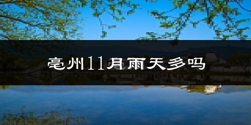 亳州11月雨天多吗?