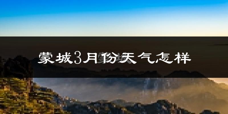 蒙城县3月份天气如何?冷吗?过去两年3月天气数据分析