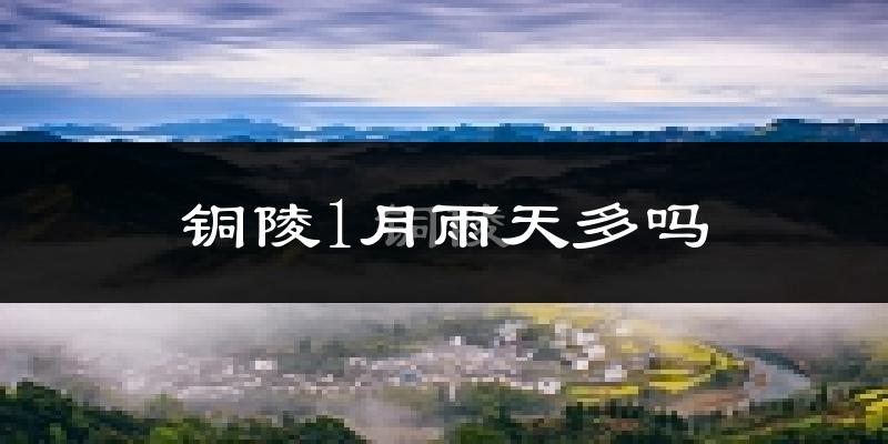铜陵1月雨天多吗?
