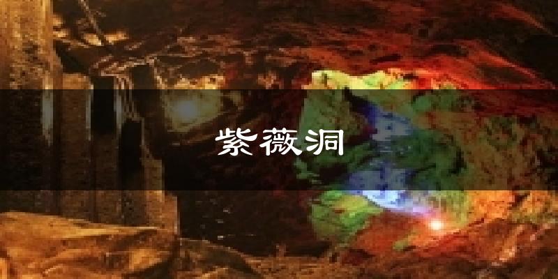紫薇洞天气预报十五天