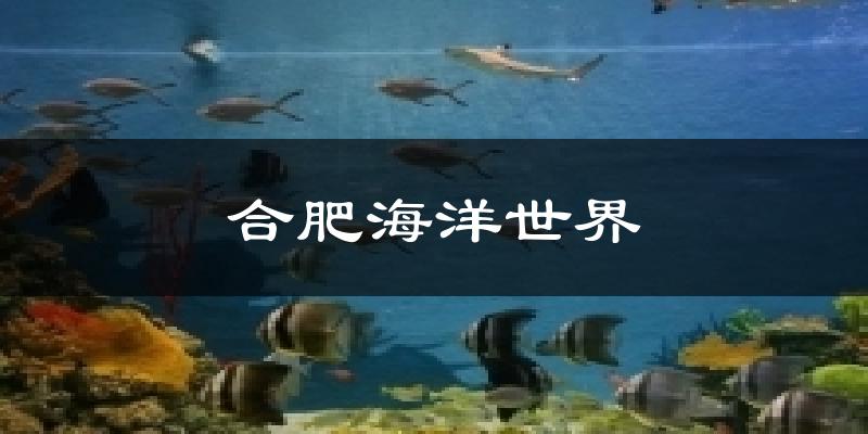 合肥海洋世界天气预报十五天