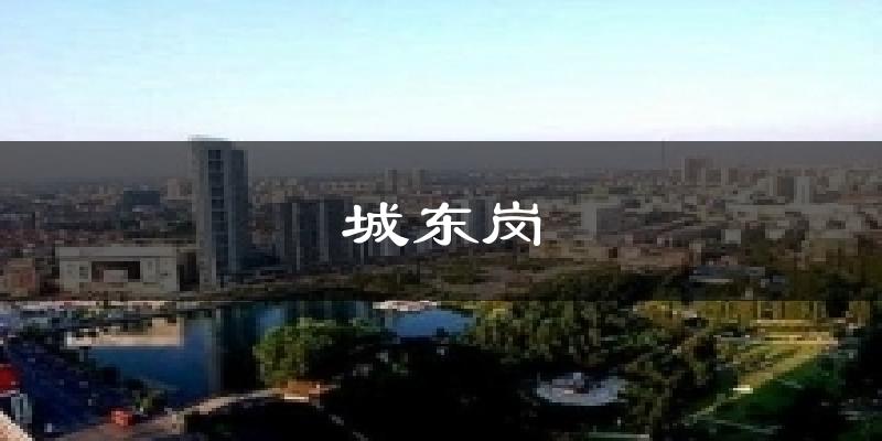 城东岗天气预报十五天