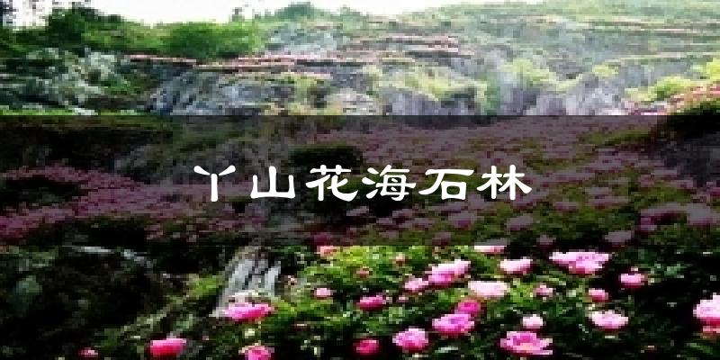 丫山花海石林天气预报十五天