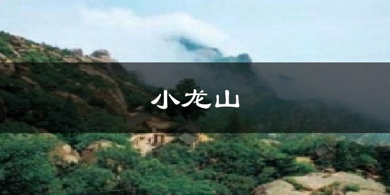 小龙山天气预报十五天