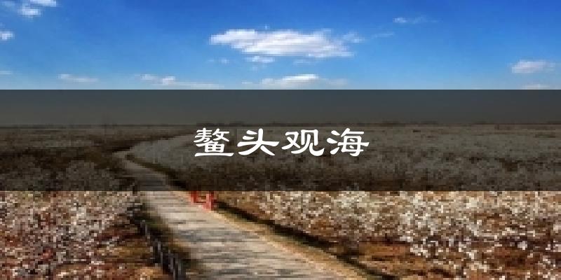 鳌头观海天气预报十五天