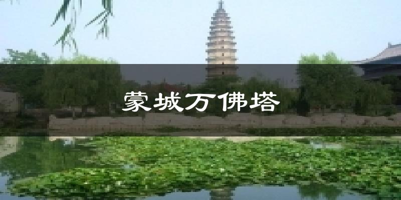 蒙城万佛塔天气预报十五天