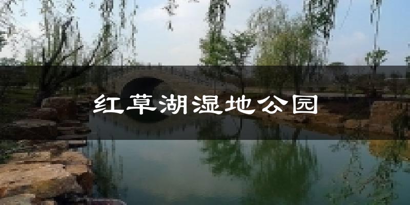 红草湖湿地公园天气预报十五天