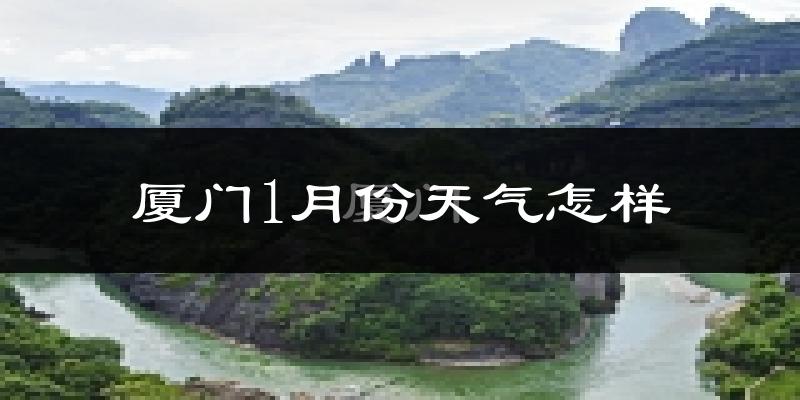 厦门1月份天气如何?冷吗?