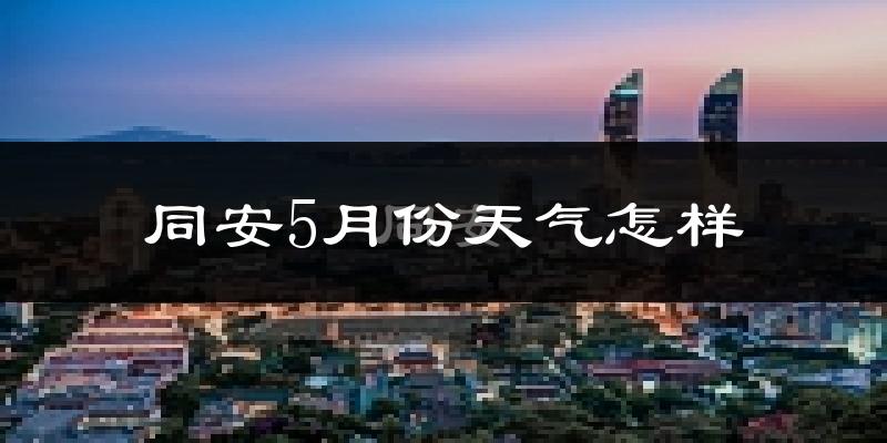 同安5月份天气怎样?同安五月冷吗?