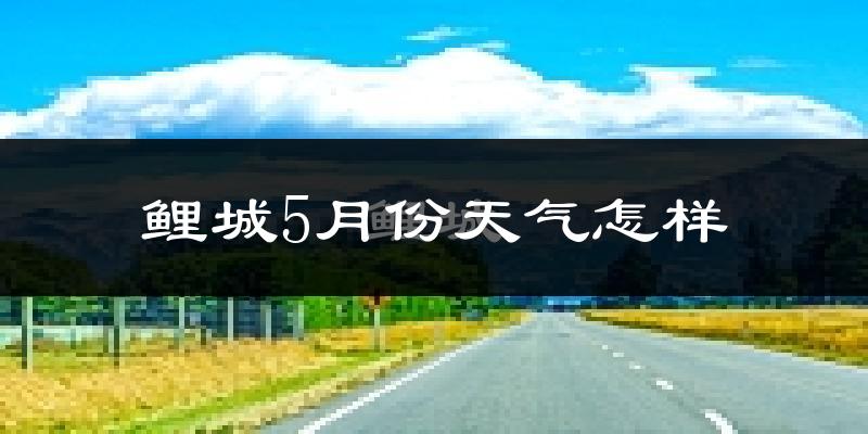 鲤城5月份天气怎样?鲤城五月冷吗?