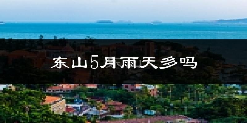 东山5月雨天多吗?
