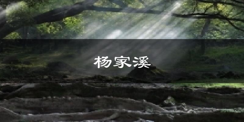 杨家溪天气预报十五天