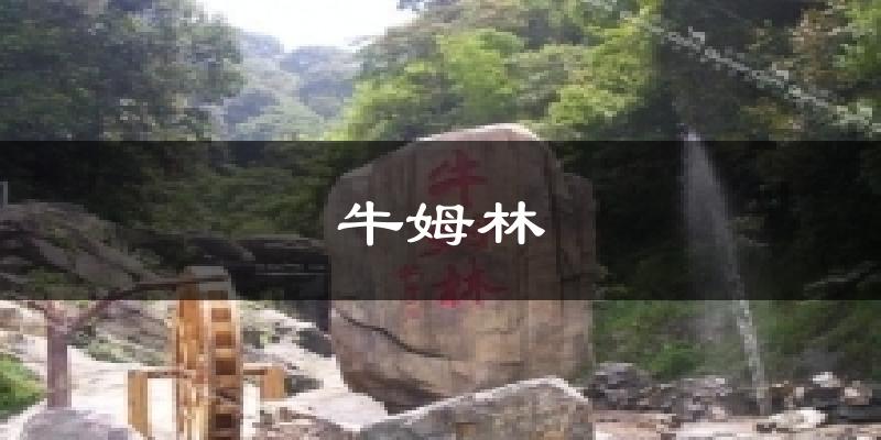 牛姆林天气预报十五天