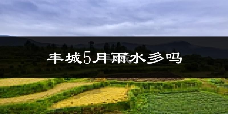 丰城5月雨水多吗?