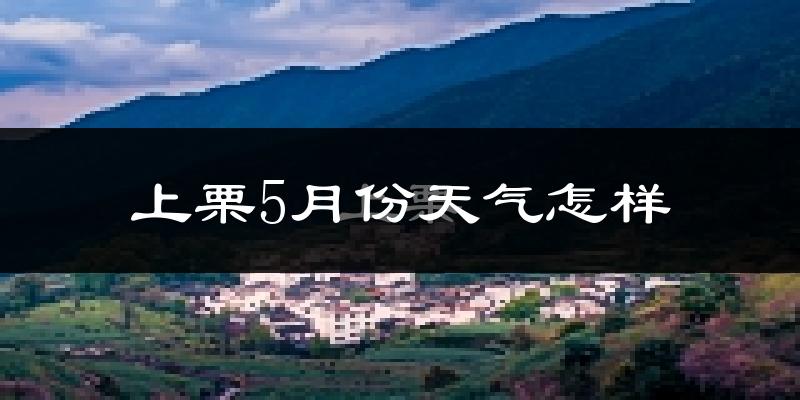 上栗县5月份天气如何?很热吗?