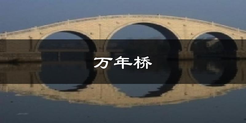 万年桥天气预报十五天