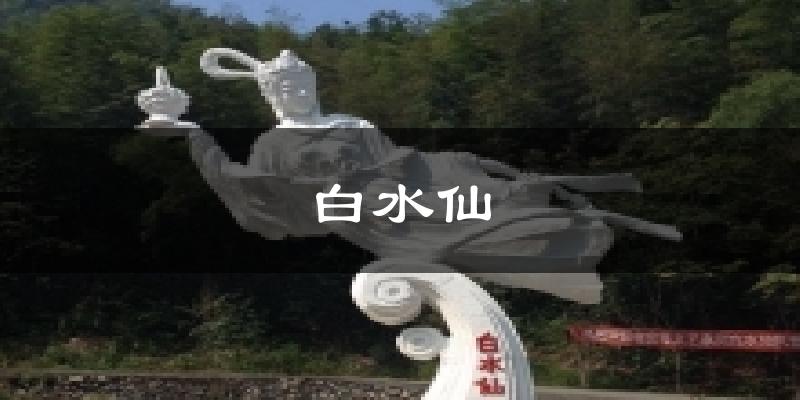 白水仙天气预报十五天