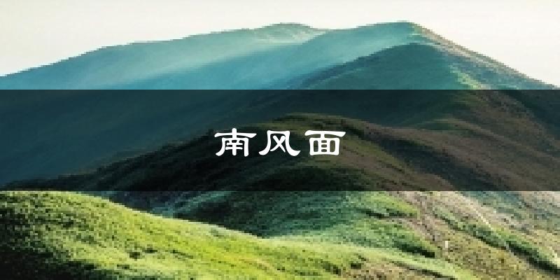 南风面天气预报十五天