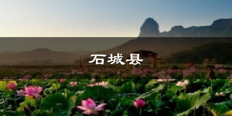 石城县天气预报十五天