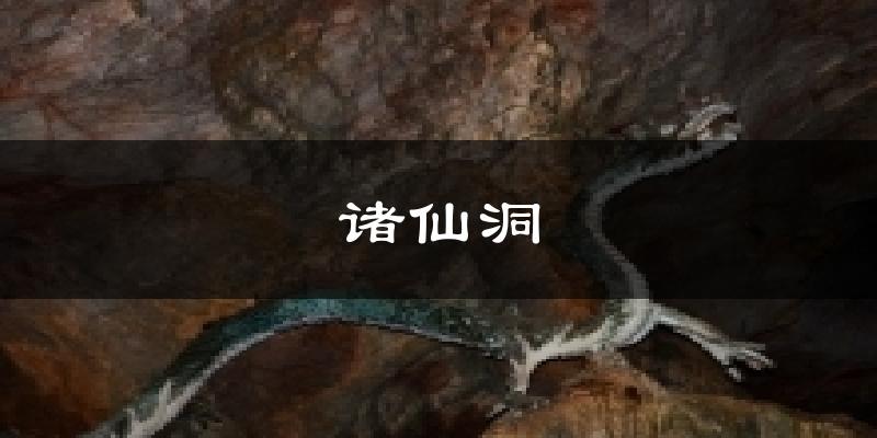 诸仙洞天气预报十五天